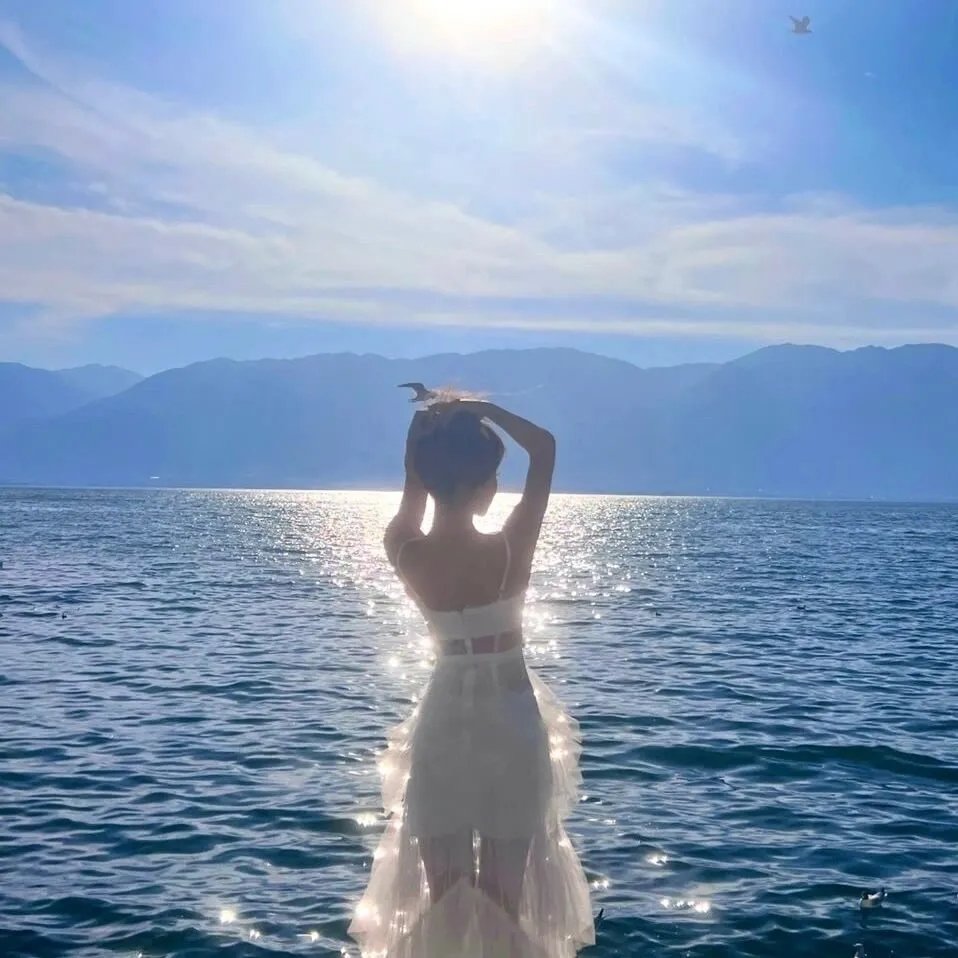 秘密档案 海报